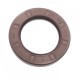 Pressure Oil Seal 33x50x7/7,5 N1T01 FPM [BABSL]